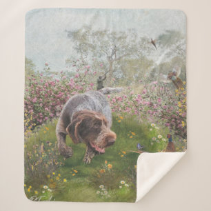 Cobertor Sherpa Deutsch Drahthaar