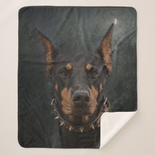 Cobertor Sherpa Doberman Pinscher