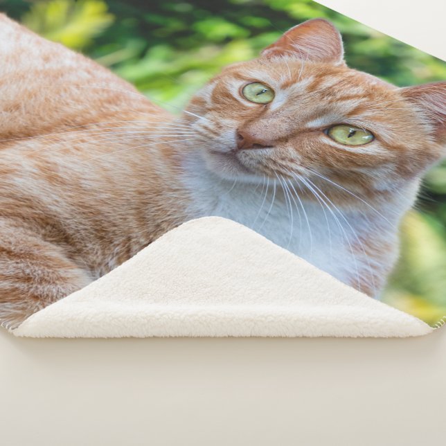 Cobertor Sherpa Doce gatinho (3/4)