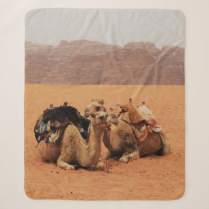 COBERTOR SHERPA DOIS CAMELOS SENTADOS NA AREIA MARROM PERTO DAS MO