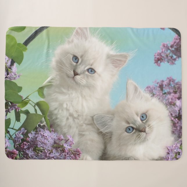 COBERTOR SHERPA DOIS KITTENS BRANCOS (Frente (Horizontal))