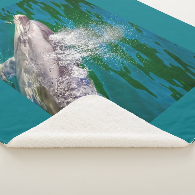 Cobertor Sherpa Dolphin In Milford Sound, Nova Zelândia (3/4)
