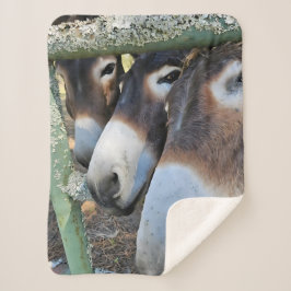 Cobertor Sherpa Donkey Love Sherpa Blanket