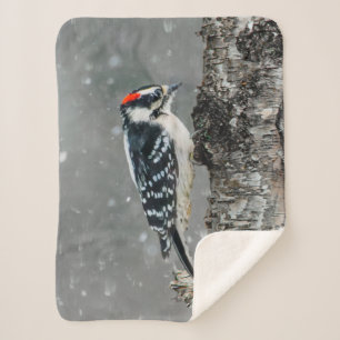Cobertor Sherpa Downy Woodpecker em Neve - Foto Original