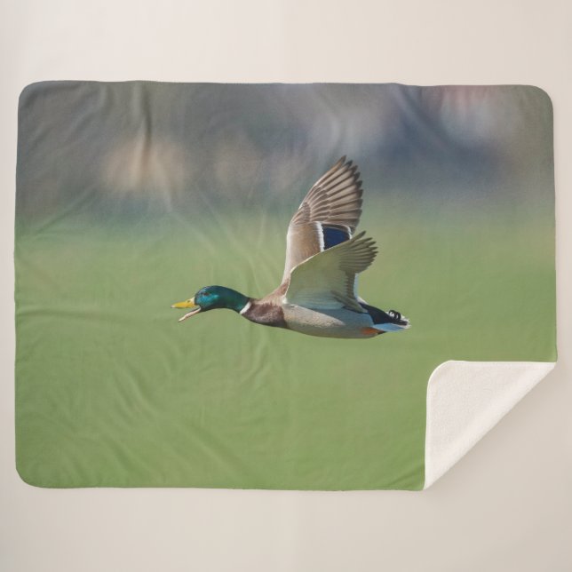 COBERTOR SHERPA DUCK NO VOO (Frente (Horizontal))