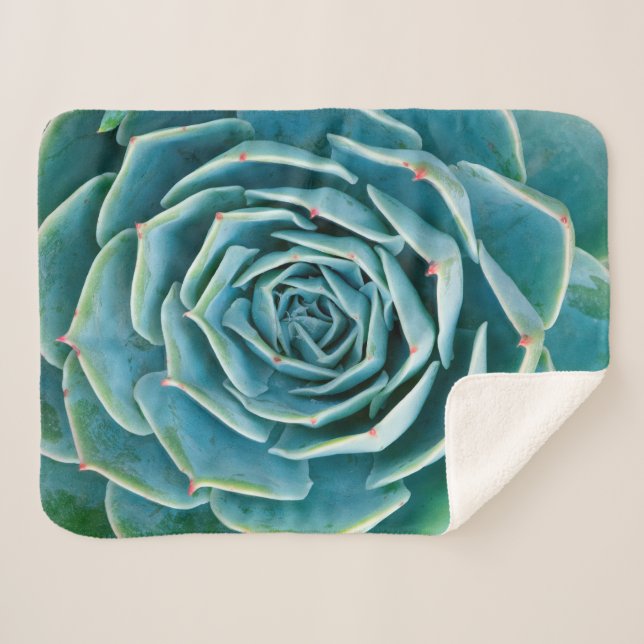 Cobertor Sherpa Echeveria Roseta, Jardim Secreto de Marrakech (Frente (Horizontal))