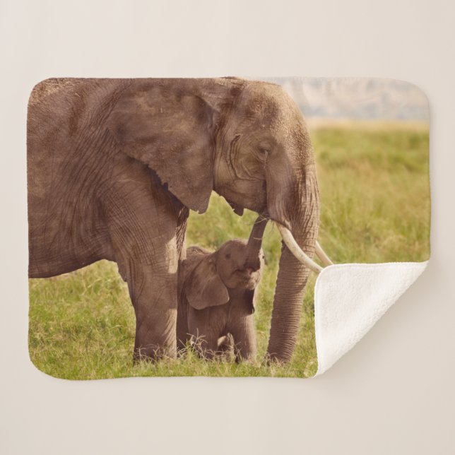 Cobertor Sherpa Elefante & bebê das imagens | de Getty (Frente (Horizontal))