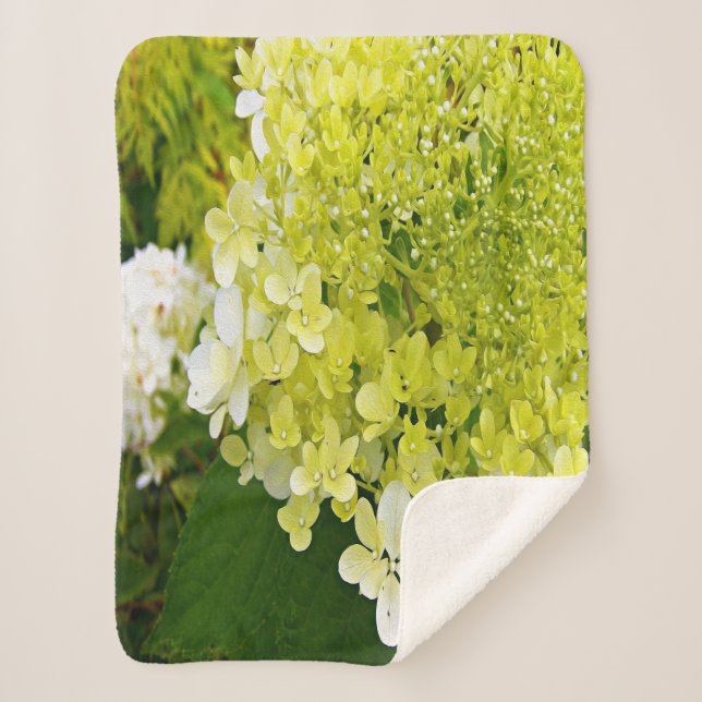 Cobertor Sherpa Elegante Hortênsia Limelight Verde Chartreuse (Frente)