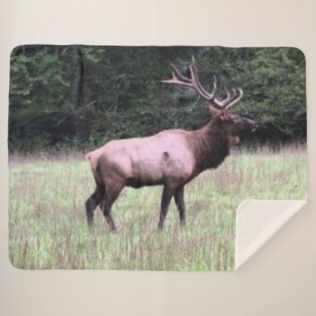 COBERTOR SHERPA ELK MAJESTIC (Frente (Horizontal))