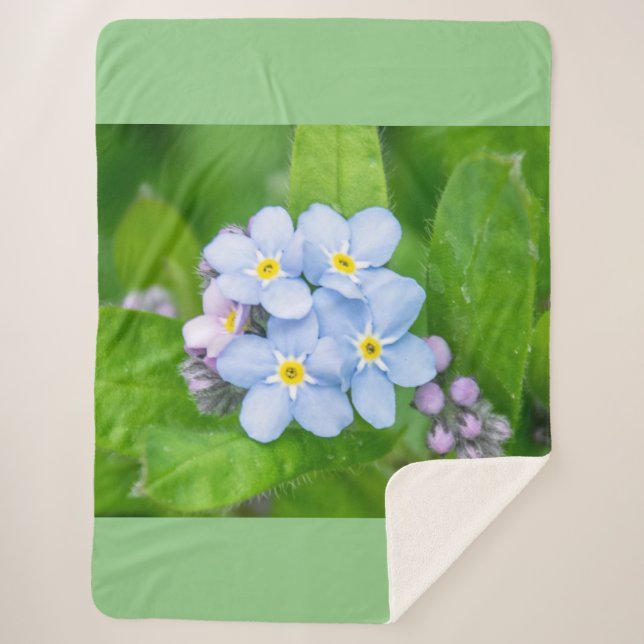 Cobertor Sherpa Esqueça-me-não (Frente)