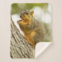 Cobertor Sherpa Esquilo Adorável