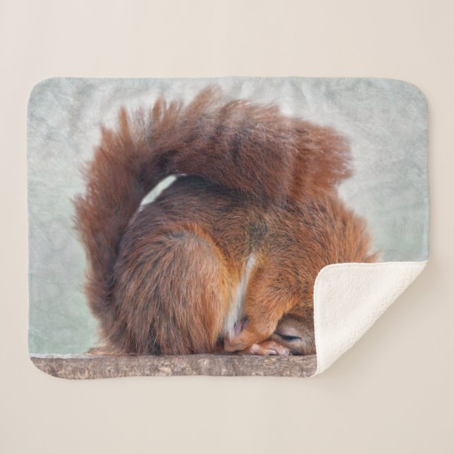 Cobertor Sherpa Esquilo Yoga (Frente (Horizontal))
