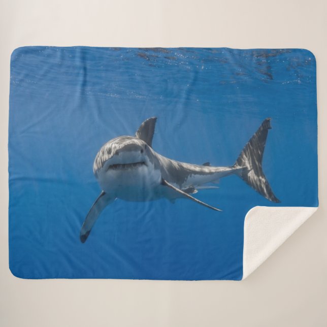 COBERTOR SHERPA EXCELENTE BRANCO (Frente (Horizontal))