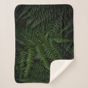 Cobertor Sherpa Fábrica de Fern