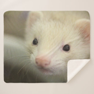 Cobertor Sherpa Face de Ferret