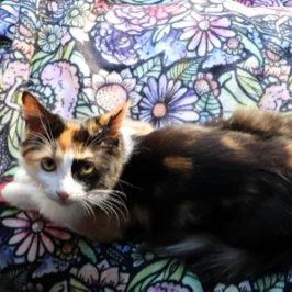 Cobertor Sherpa Fairy Garden Gardening Flower Gardens Fairies     