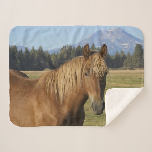 Cobertor Sherpa Faixa da Cascata | Cavalo Castanho (Frente (Horizontal))