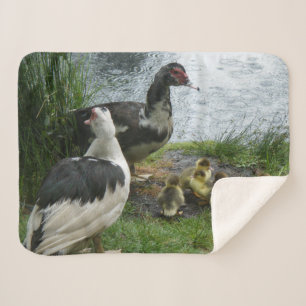 Cobertor Sherpa Família do pato de Muscovy