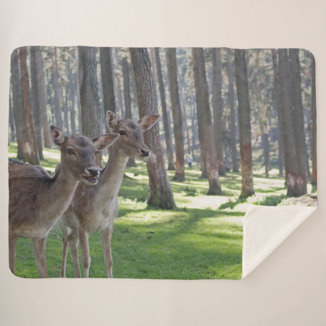 COBERTOR SHERPA FAWNS (Frente (Horizontal))