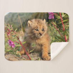 Cobertor Sherpa Filhote de Lince Canadense, Alasca