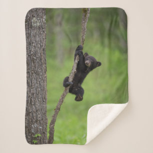 Cobertor Sherpa Filhote de Urso Negro brincando em Galho de Árvore
