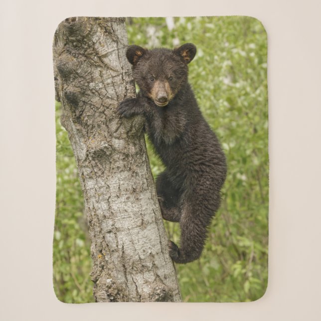Cobertor Sherpa Filhote de Urso Negro na Árvore (Frente)