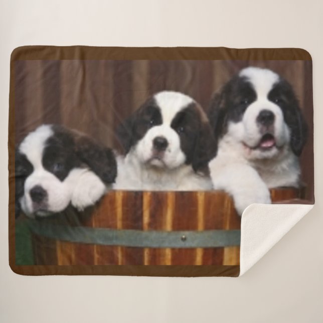 COBERTOR SHERPA FILHOTES DE CACHORRO DE ST BERNARD (Frente (Horizontal))