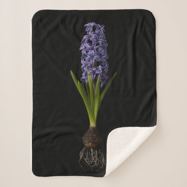 Cobertor Sherpa Flores | Lâmpada de Hyacinth Roxa (Frente)