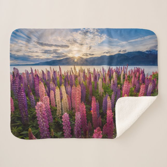 Cobertor Sherpa Flores | Lupinas Nova Zelândia (Frente (Horizontal))