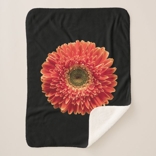 Cobertor Sherpa Flores | Orange Gerbera Daisy (Frente)