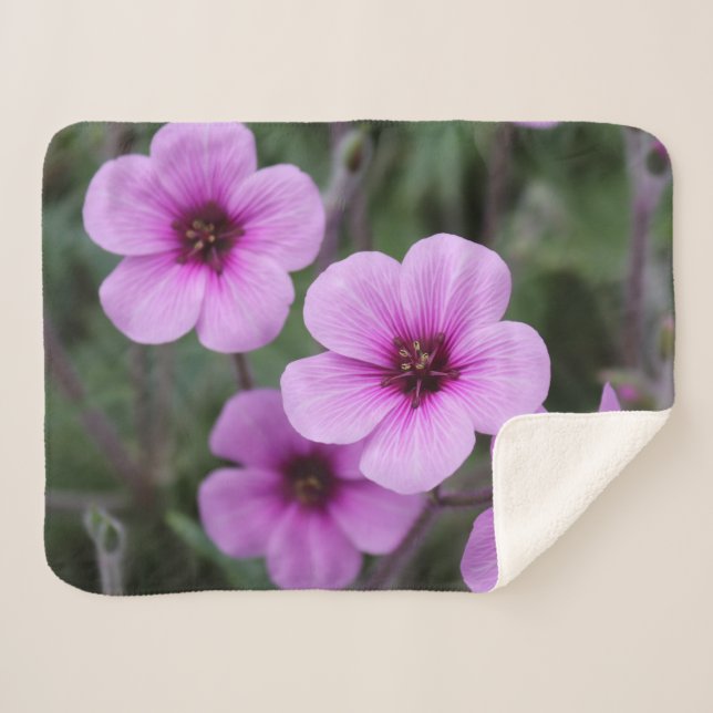 Cobertor Sherpa Flores Rosa Flores Bebê Pequeno (Frente (Horizontal))