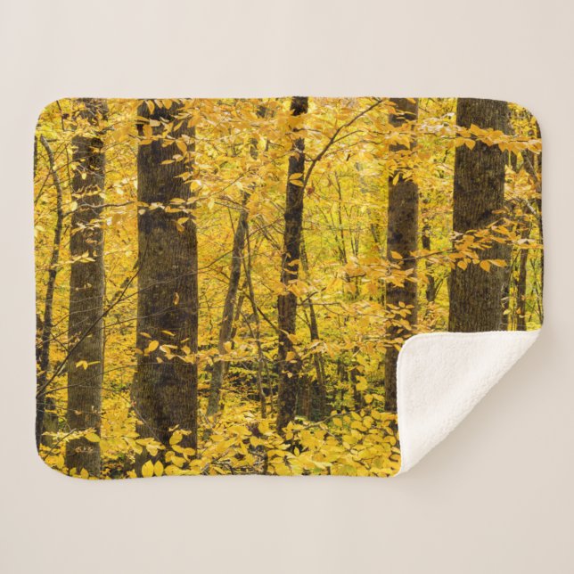 Cobertor Sherpa Floresta Nacional de Fall Pisgah (Frente (Horizontal))