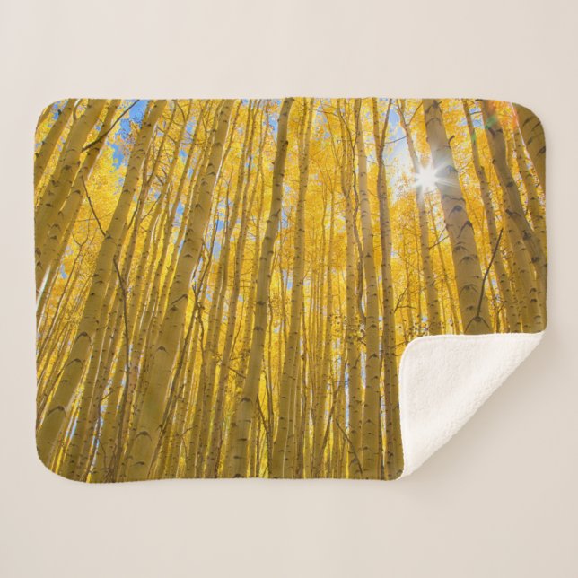 Cobertor Sherpa Floresta Nacional de White River (Frente (Horizontal))