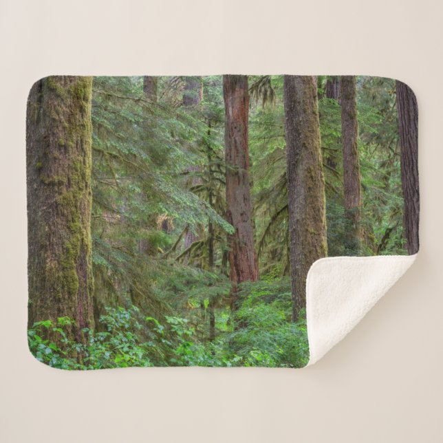 Cobertor Sherpa Floresta Nacional de Willamette | Oregon (Frente (Horizontal))