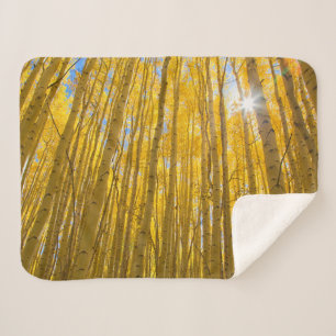 Cobertor Sherpa Floresta Nacional do Rio Branco