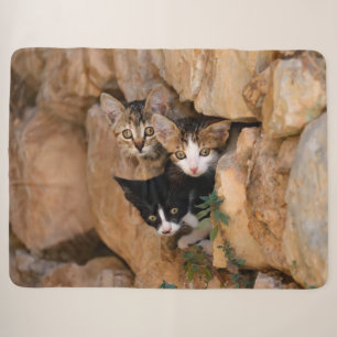 Cobertor Sherpa Foto engraçada de três caras curiosas bonitos do