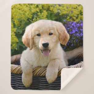 Cobertor Sherpa Foto engraçada do animal de estimação do filhot