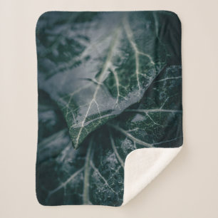 Cobertor Sherpa Fotografia da Natureza Floral Dark Moody Ivy