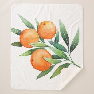 Cobertor Sherpa Frutas Laranja De Aquarela: Ramais Isolados.