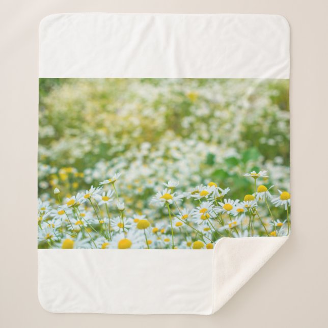 Cobertor Sherpa Fundo do campo das flores das margaridas. alternat (Frente)