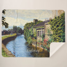 Galway City Irlanda Canal View