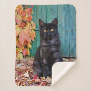 Cobertor Sherpa Gatinho de Gato Preto e Bonito com Porta Azul Verm