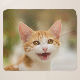 Cobertor Sherpa Gatinho Sorridente Enfrentando Gato Engraçado Foto