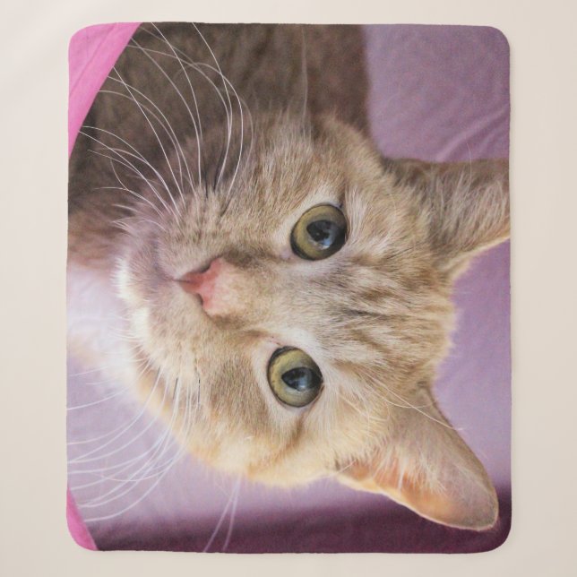 Cobertor Sherpa Gato (Frente)