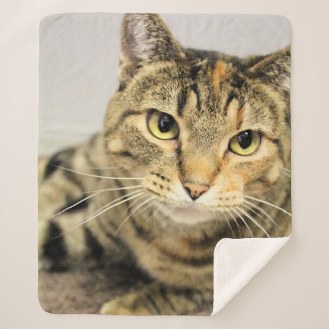 Cobertor Sherpa Gato (Frente)