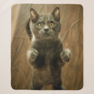 Cobertor Sherpa GATO DE cinza EM DOIS PÉS
