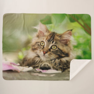 Cobertor Sherpa Gato Gato Gato Gato Gato Gato Gato Foffy Foto