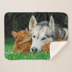 Cobertor Sherpa Gato Somali Irmã Husky Bonito Amigos Encantados