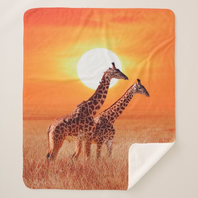 Cobertor Sherpa Girafa na savana africana contra o backdro (Frente)