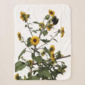 Cobertor Sherpa Girassol Amarelo Vibrante